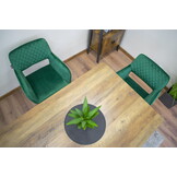 Velvet eetkamerstoel AMALFI - met armleuning - groen