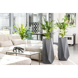 Bloempot SIENA - 41x23x75cm - antraciet