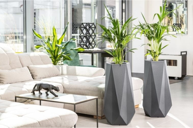 Bloempot SIENA - 41x23x75cm - antraciet