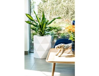 Bloempot MODENA - 46x23x54cm - wit