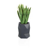 Bloempot MODENA - 46x23x54cm - antraciet