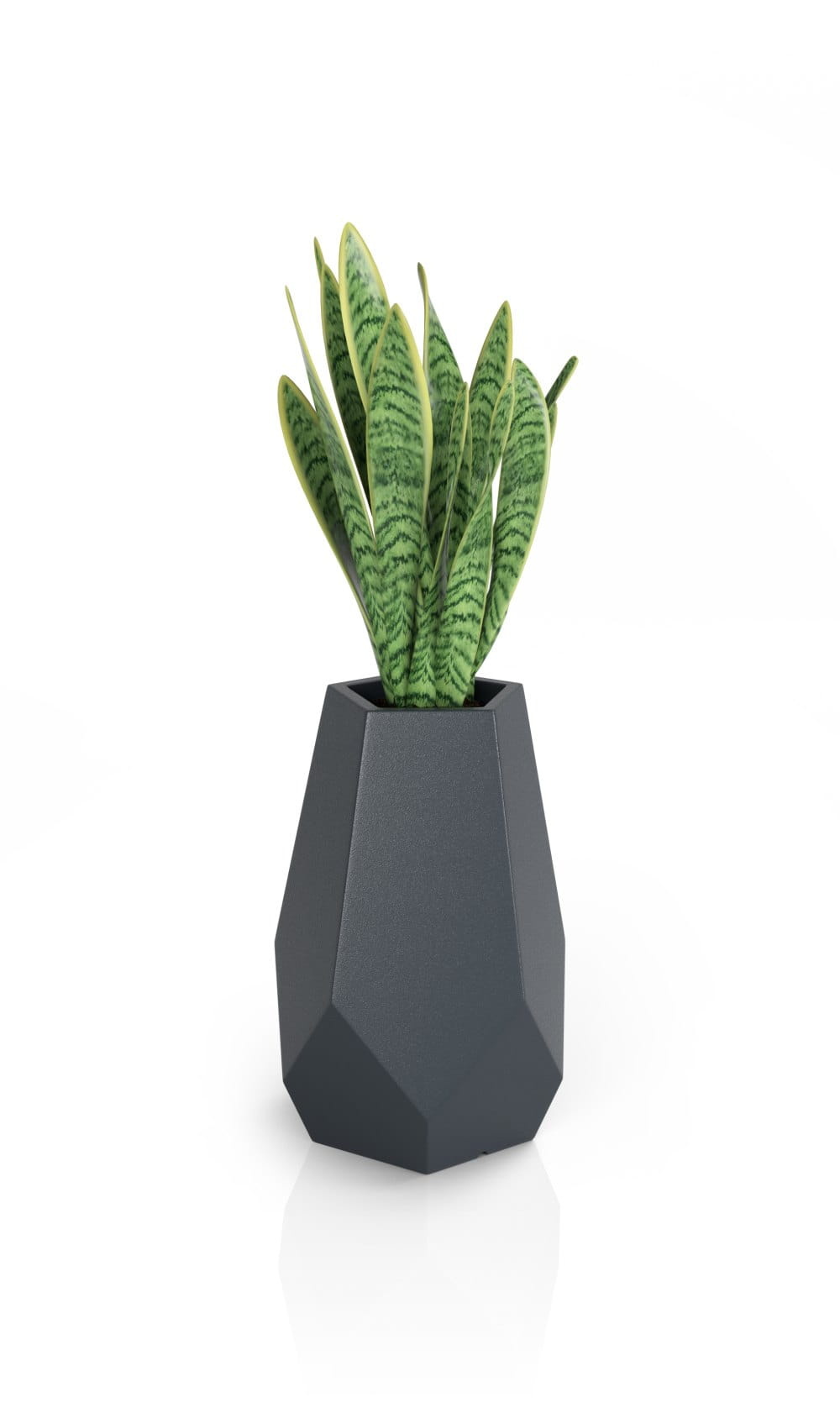 Bloempot BARI - 46x32x71cm - antraciet