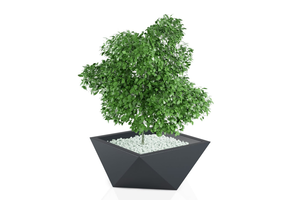 Bloempot - VENDETTA - 65x20x30cm - antraciet