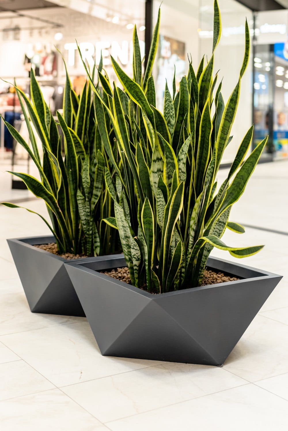 Bloempot - VENDETTA - 65x20x30cm - antraciet