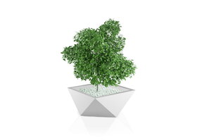 Bloempot - VENDETTA - 65x20x30cm - wit