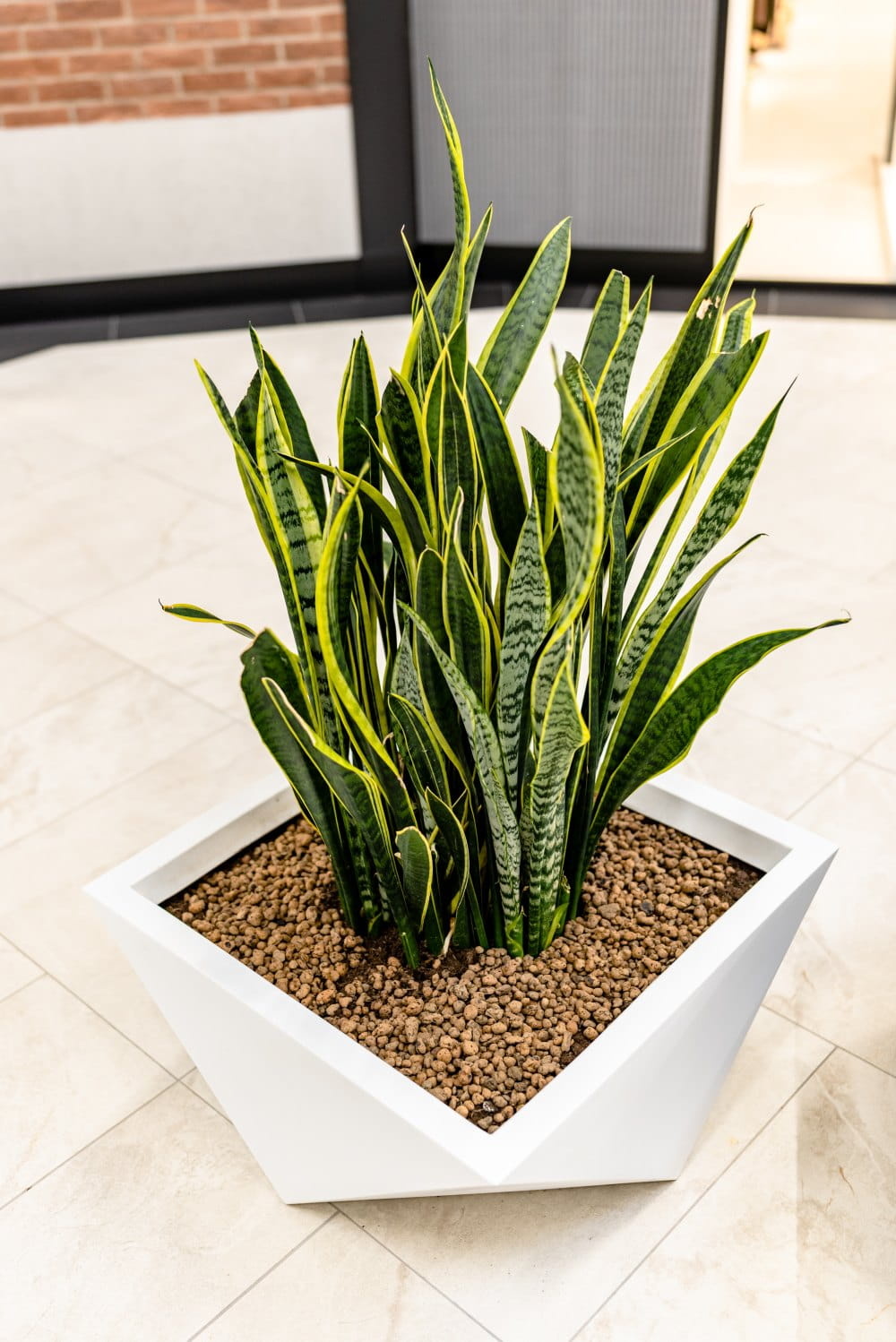 Bloempot - VENDETTA - 65x20x30cm - wit
