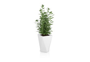 Bloempot - VASO - 25x25x59cm - wit