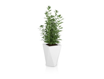 Bloempot - VASO - 25x25x59cm - wit