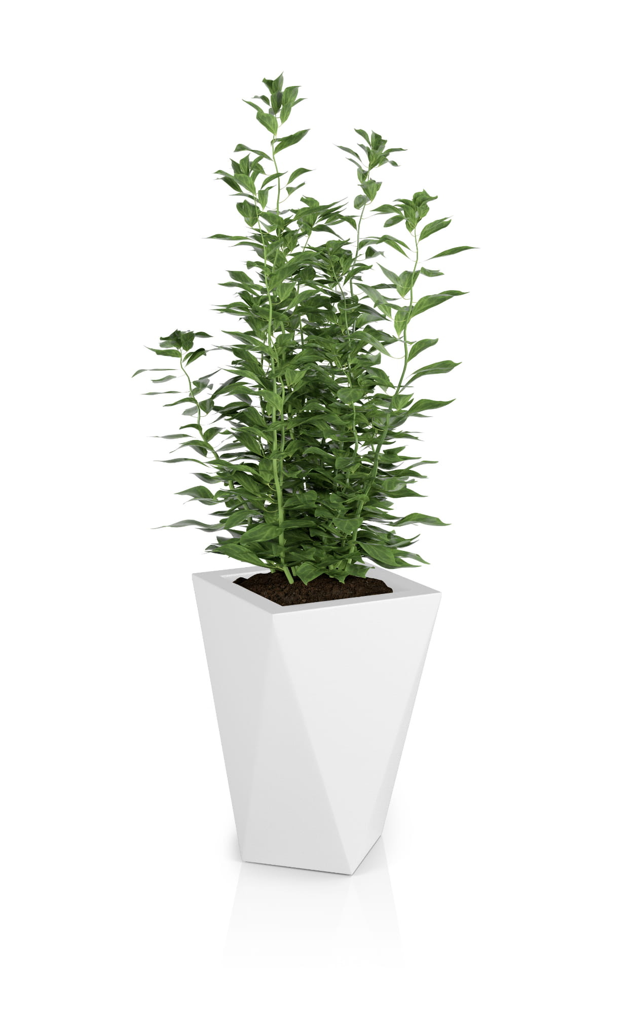 Bloempot - VASO - 25x25x59cm - wit