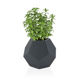 Bloempot - ALMA - 62x62x53cm - antraciet