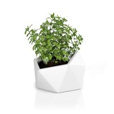 Bloempot - VESARI - 60x69x45,8cm - antraciet