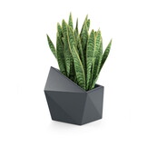 Bloempot ASTRO - 54x34x47,5cm - waterdicht - antraciet