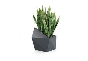 Bloempot ASTRO - 54x34x47,5cm - waterdicht - antraciet