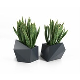 Bloempot ASTRO - 54x34x47,5cm - waterdicht - antraciet