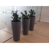 Bloempot HABANA - 40x30x80cm - waterdicht - antraciet