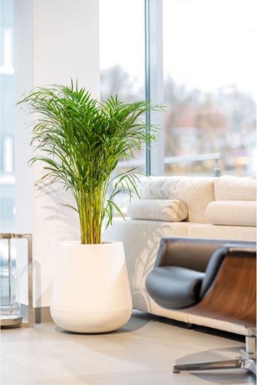 Bloempot LAGO - 47x23x50cm - kunststof - wit