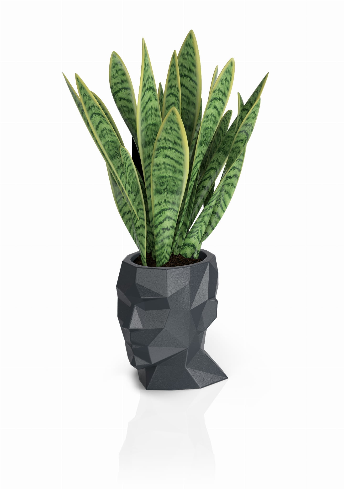 Bloempot - Adonis - 39x25x40cm - polyethyleen - antraciet