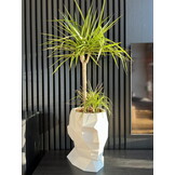Bloempot ADONIS - 39x25x40cm - polyethyleen - wit