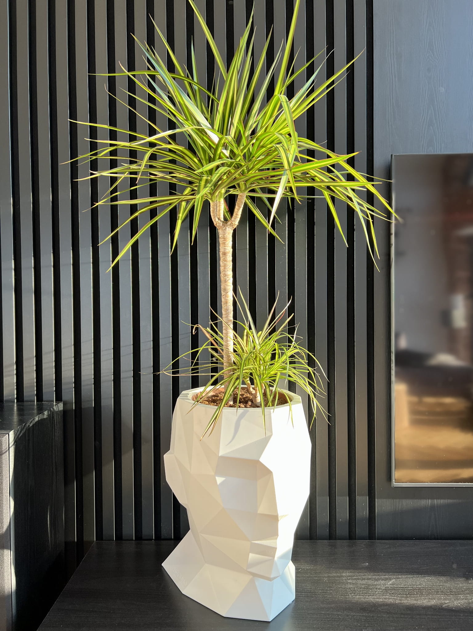 Bloempot ADONIS - 39x25x40cm - polyethyleen - wit