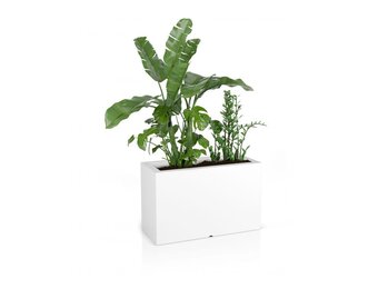Plantenbak LUNGO MAXI - 80x35x50cm - wit