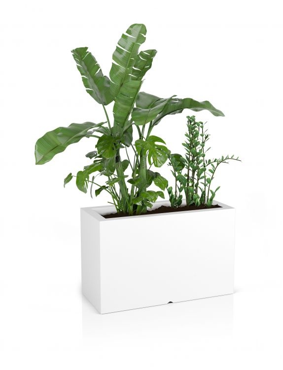 Plantenbak LUNGO MAXI - 80x35x50cm - wit