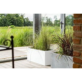 Plantenbak LONG - voor binnen en buiten - 90x40x40cm - wit