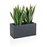 Plantenbak LUNGO - binnen en buiten - 75x35x38cm - antraciet