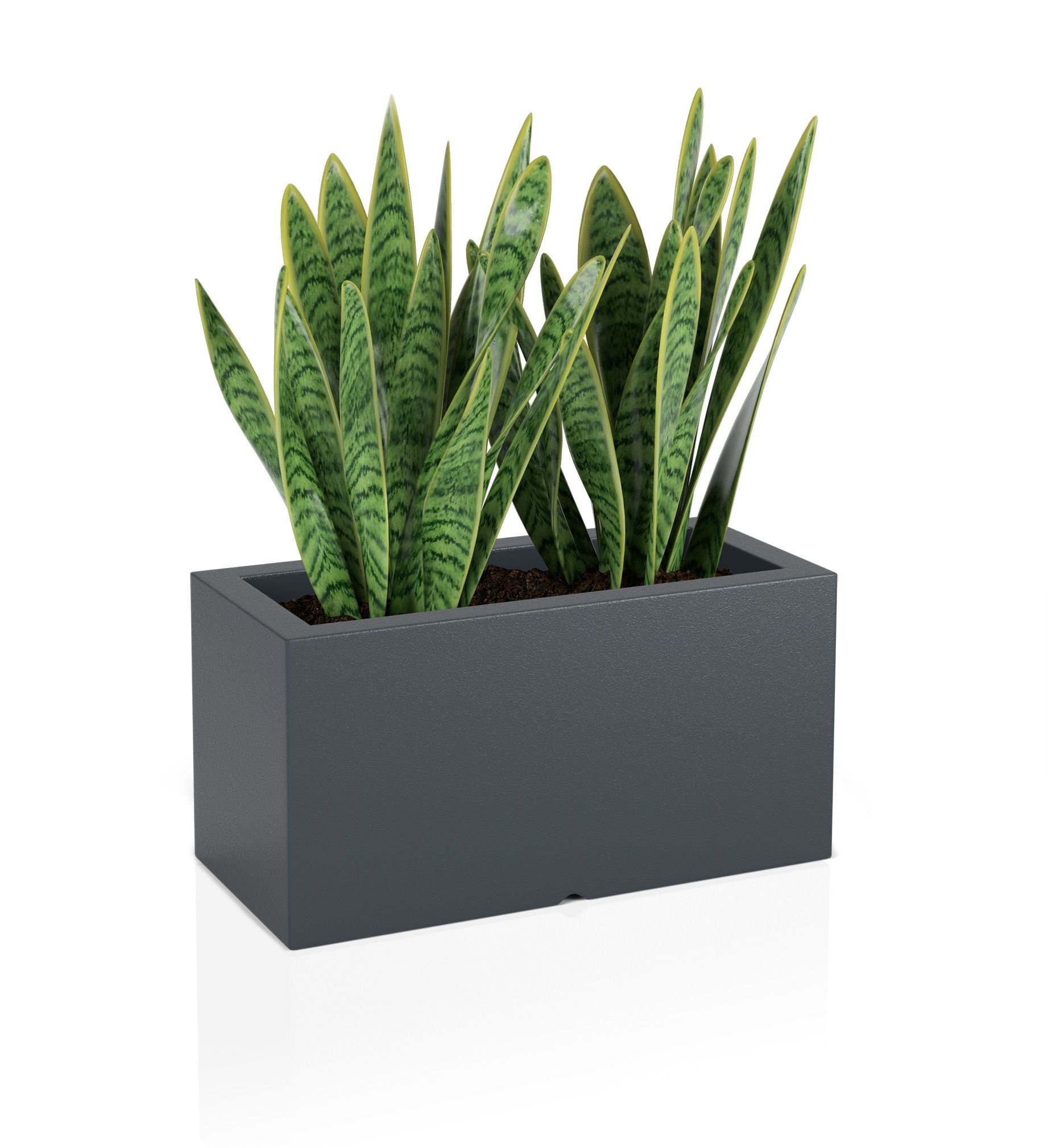 Plantenbak LUNGO - binnen en buiten - 75x35x38cm - antraciet