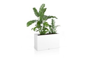 Plantenbak LUNGO MAXI - 80x35x50cm - antraciet