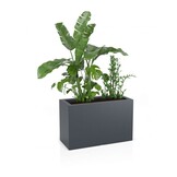 Plantenbak LUNGO MAXI - 80x35x50cm - antraciet
