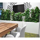 Plantenbak LUNGO MAXI - 80x35x50cm - antraciet