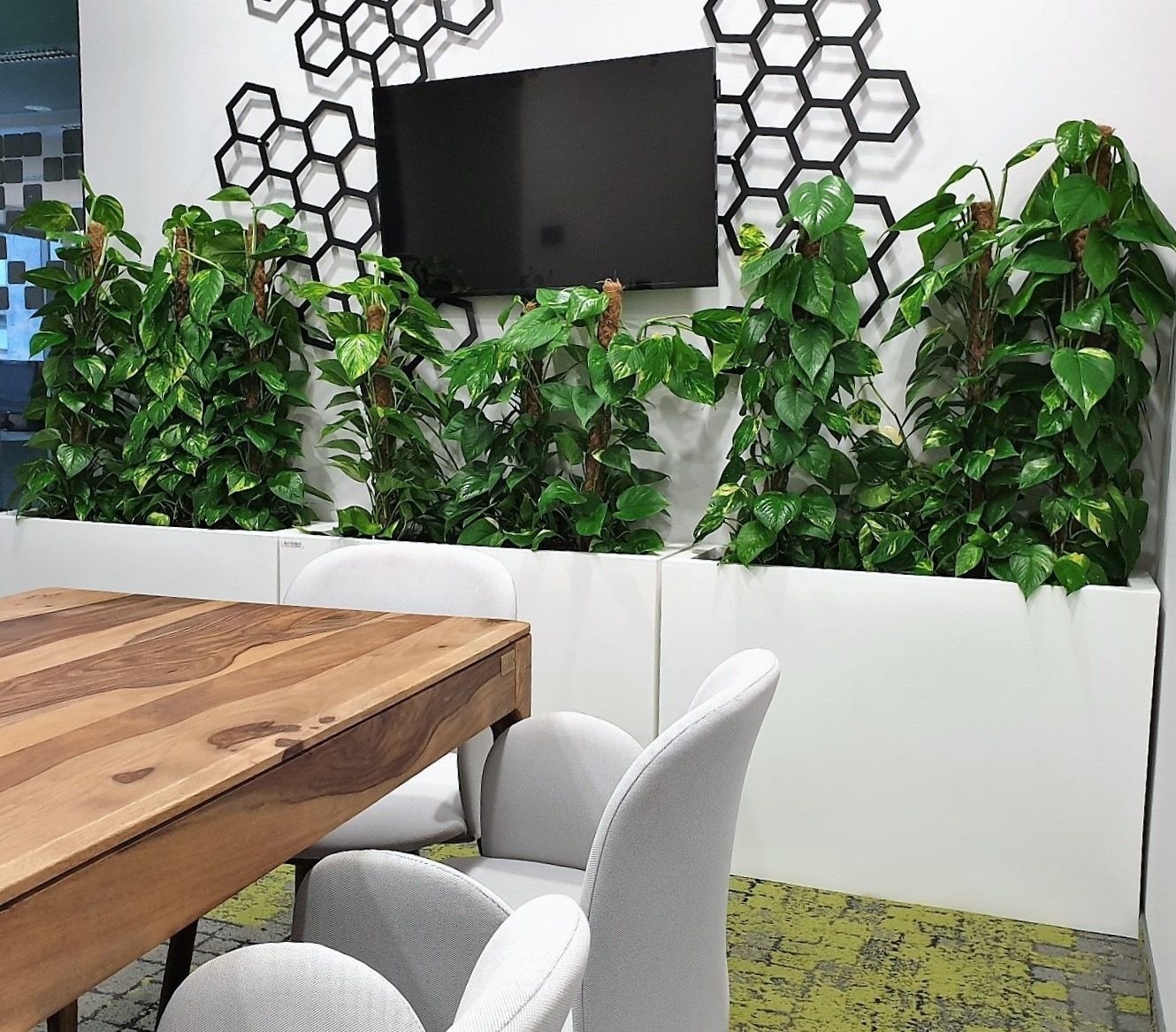 Plantenbak LUNGO MAXI - 80x35x50cm - antraciet