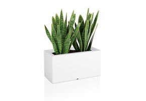 Plantenbak LUNGO - binnen en buiten - 75x35x38cm - wit
