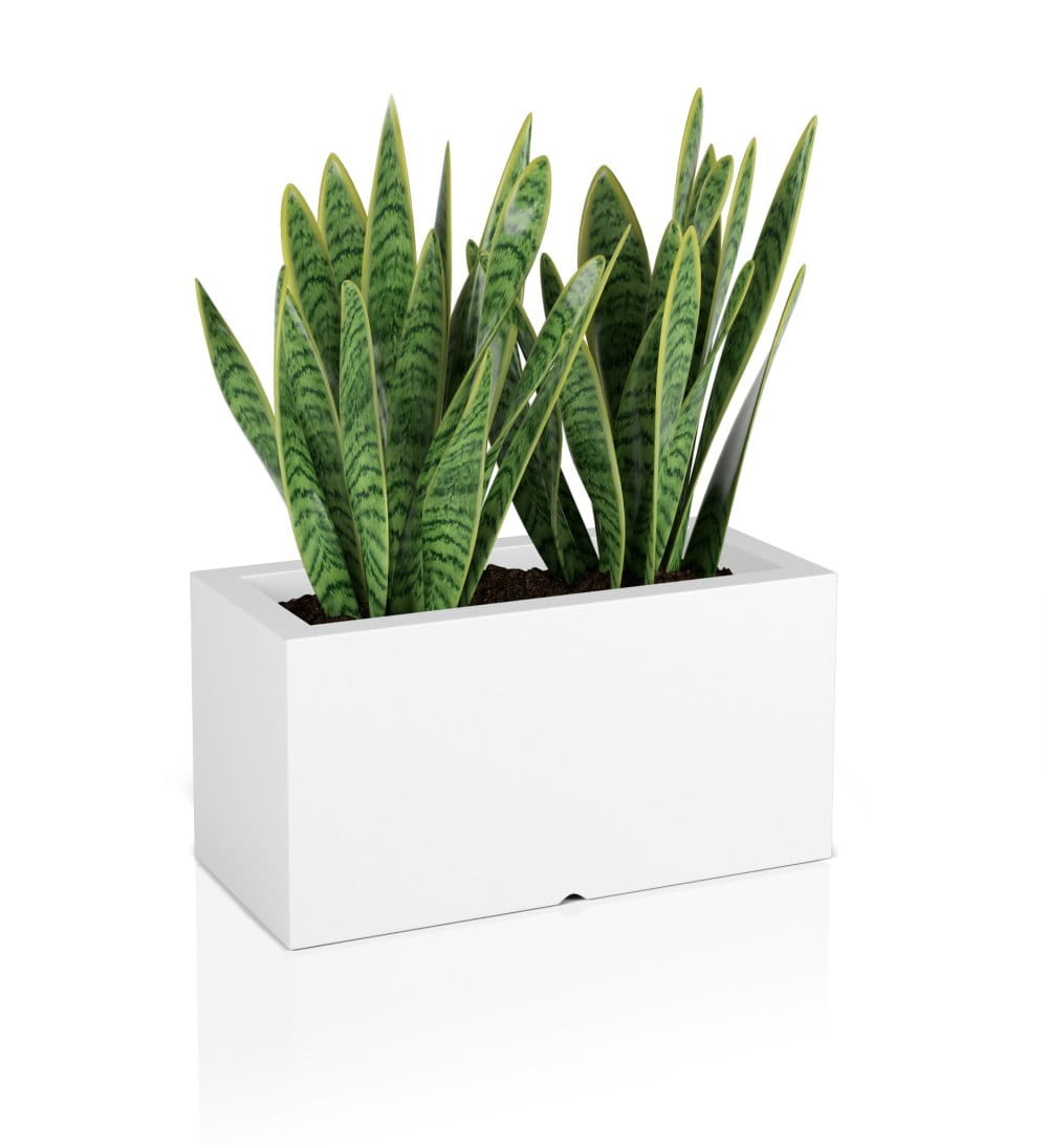 Plantenbak LUNGO - binnen en buiten - 75x35x38cm - wit