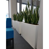 Plantenbak LUNGO GRANDE - 85x35x60cm - antraciet