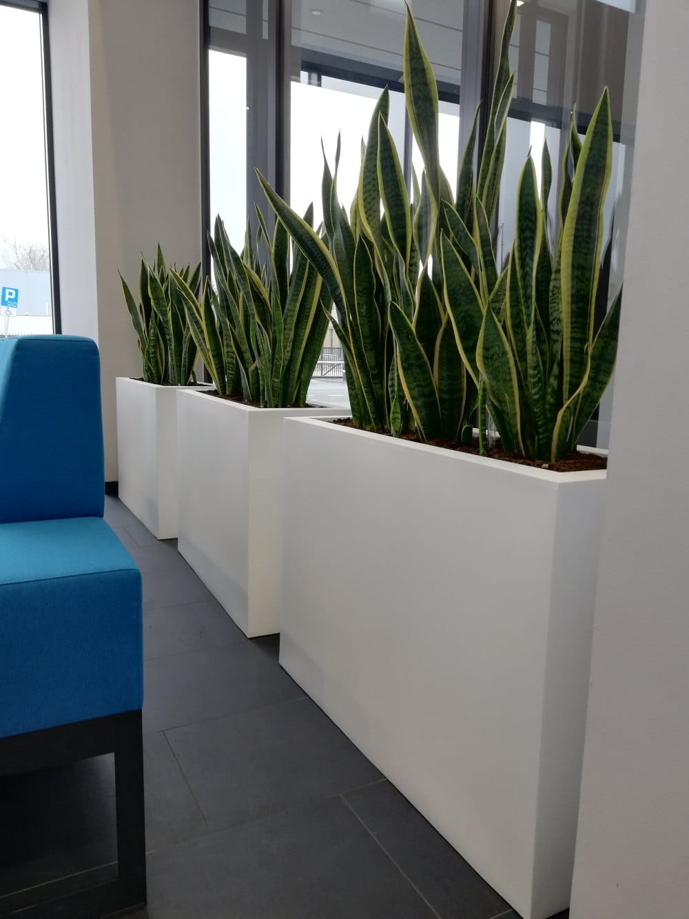Plantenbak LUNGO GRANDE - 85x35x60cm - antraciet