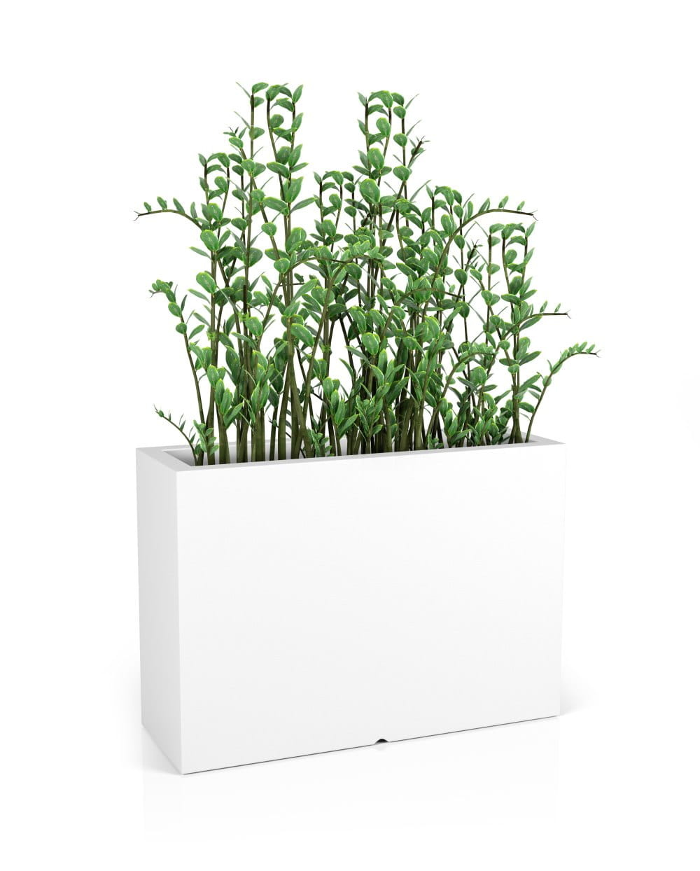 Plantenbak LONGERINO - binnen en buiten - 100x35x70cm - wit