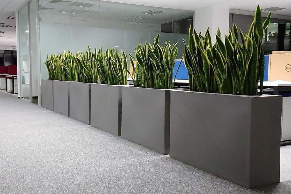 Plantenbak LONGERINO - binnen en buiten - 100x35x70cm - wit