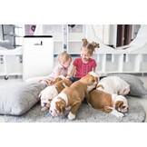 Luchtreiniger WEBBER AP8700 - met afstandsbediening - tot 50m2