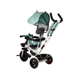 Driewieler met duwstang - en zonnekap - 85x50x105 cm - mint