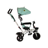 Driewieler met duwstang - en zonnekap - 85x50x105 cm - mint