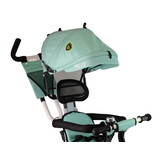 Driewieler met duwstang - en zonnekap - 85x50x105 cm - mint