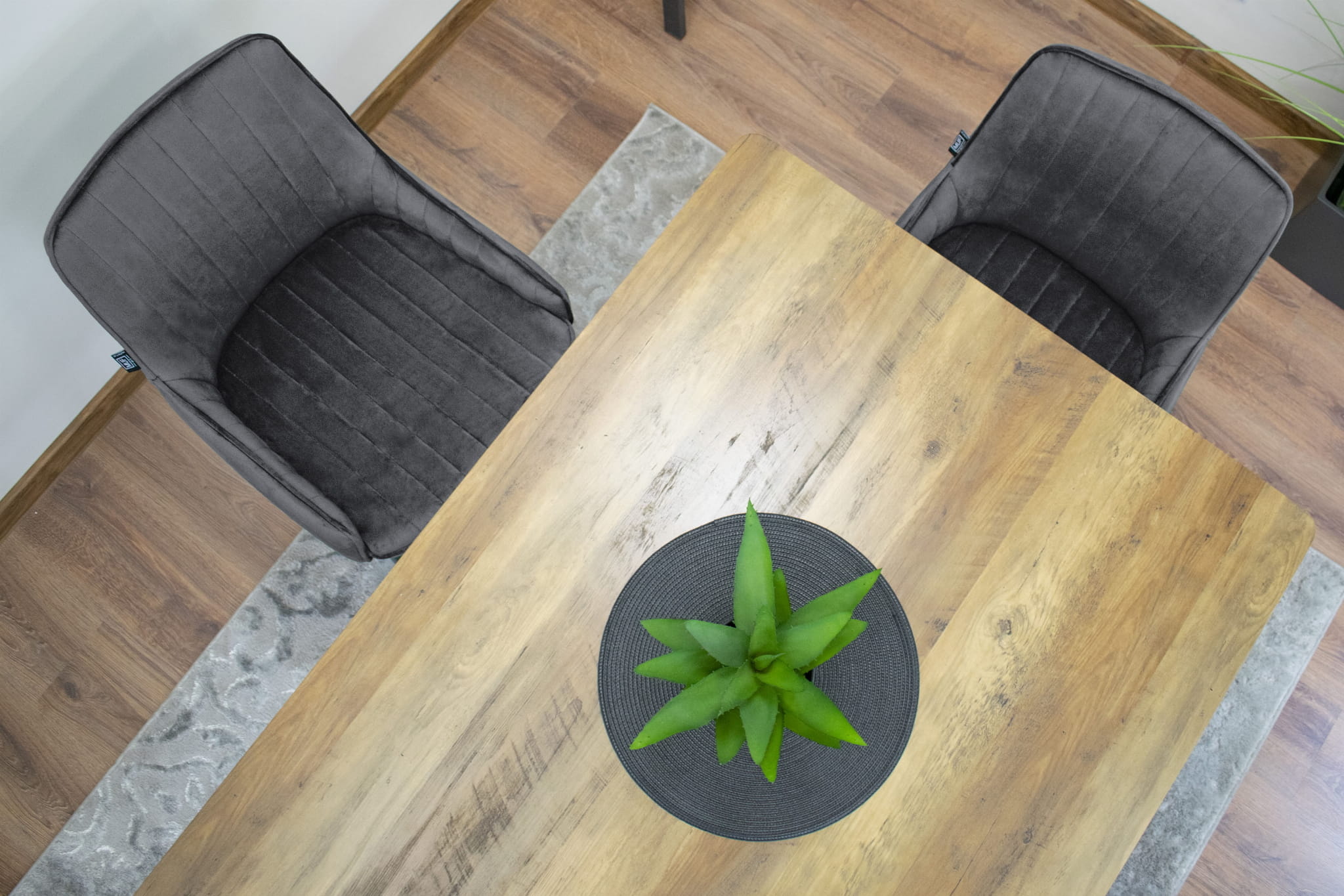 Velvet eetkamerstoel MONZA - set van 2 kuipstoelen - grijs