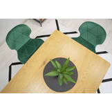 Velvet eetkamerstoel NEST - set van 2 - groen, goud