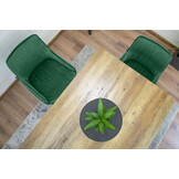 Velvet eetkamerstoel MONZA - set van 3 kuipstoelen - groen