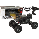 Bestuurbare auto - R/C buggy - tot 30m - 2,4GHz - zwart