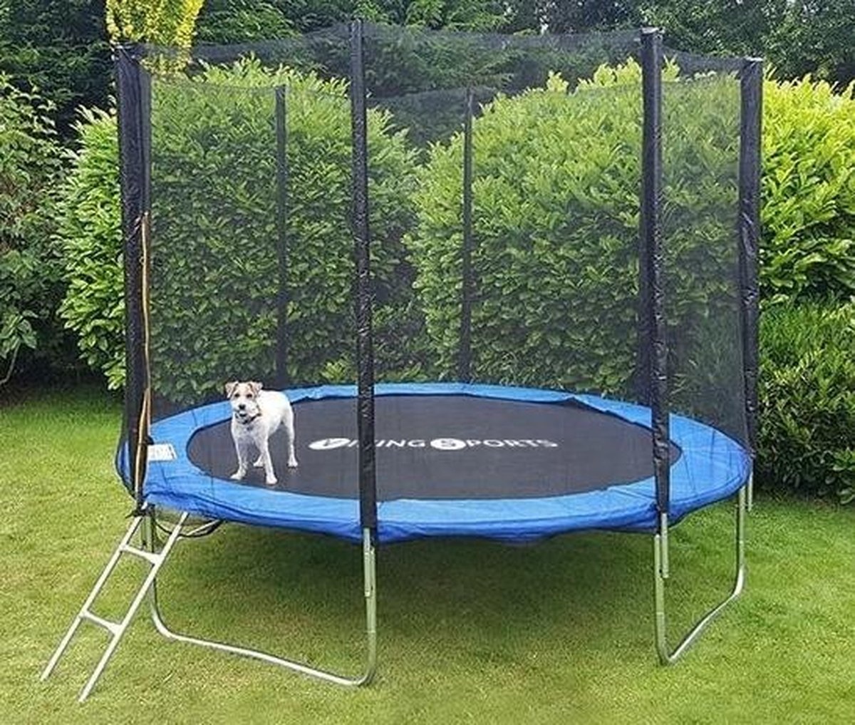 Trampoline - blauw - 366 cm