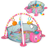 Speelkleed met ballenbak - Groot - Educatief - 30 ballen