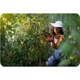 Kweektunnel - 2x2x3m - groen