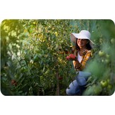 Kweektunnel - 2x2x3,5 m - groen